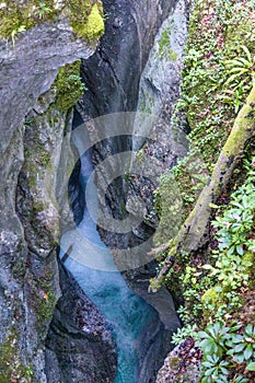 canyon of Kamniska Bistrica river near Kamnik in Slovenia