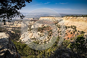 Canyon overlook in Dinosaur National Monument