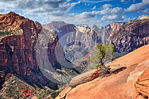 Canyon Overlook Trail, Zion National Park photo