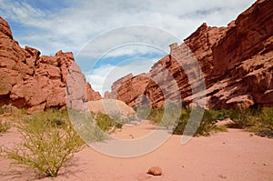 Canyon Quebrada de las Conchas