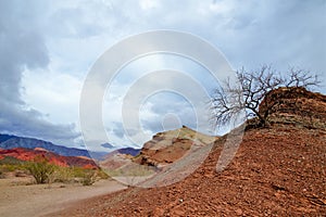 Canyon Quebrada de las Conchas