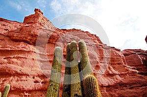 Canyon Quebrada de las Conchas