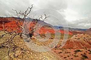 Canyon Quebrada de las Conchas