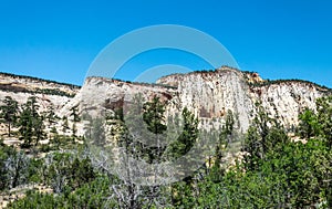 Canyon Rocks in Zion National Park, Utah, USA