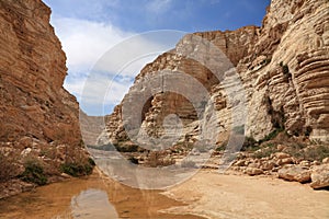Canyon in stony desert