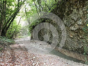 The canyon of the stream below the Sopot waterfall, Pican - Istria, Croatia - Kanjon potoka pod slapom Sopot, PiÄ‡an - Hrvatska
