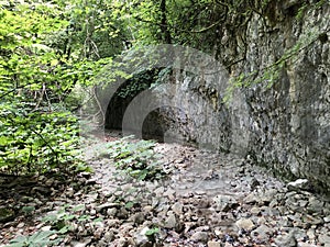 The canyon of the stream below the Sopot waterfall, Pican - Istria, Croatia - Kanjon potoka pod slapom Sopot, PiÄ‡an - Hrvatska