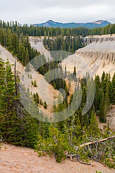 Canyon surrounded by a pine forest next to Annie Falls near Crater Lake