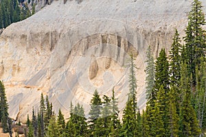 Canyon surrounded by a pine forest next to Annie Falls near Crater Lake