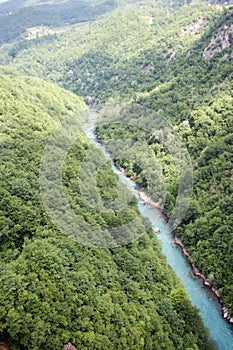 Canyon of the Tara river in Montenegro