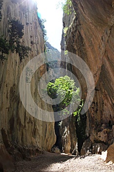 Canyon Torrent de Pareis, Mallorca