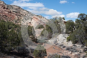 Canyon trail near the east entrance picnic area in the Colorado National Monument