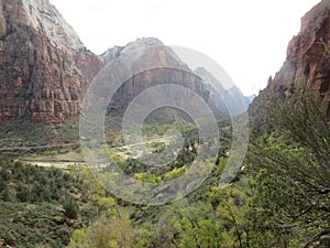 The Canyon Valley, Zion National Park, Utah