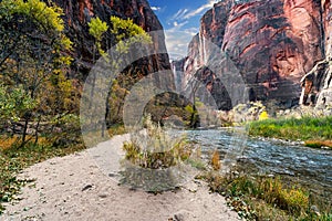 Canyon view of the Virgin River in Zion National Park, Utah.