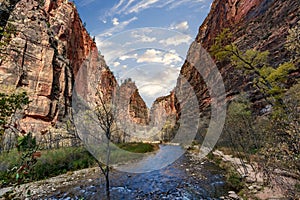 Canyon view of the Virgin River in Zion National Park, Utah.