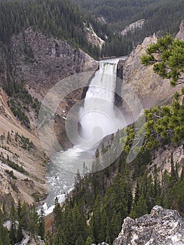 canyon waterfalls in Yellowstone