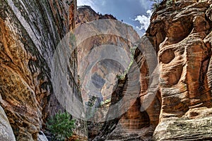 Canyon in Zion National Park