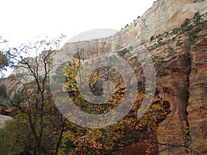 The Canyon, Zion National Park, Utah