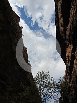 The Canyon, Zion National Park, Utah