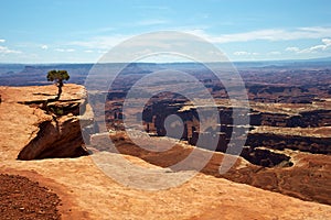 Canyonlands