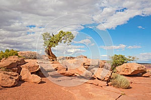 Canyonlands