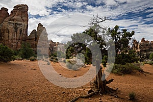 Canyonlands Backcountry