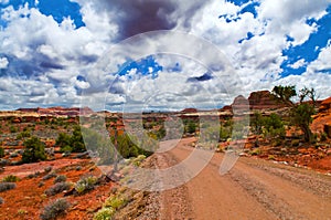 Canyonlands Landscape