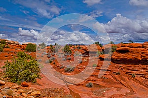 Canyonlands Landscape