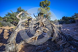 Canyonlands National Park