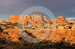 Canyonlands National Park,  Needles District Utah.