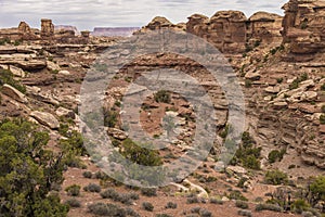 Canyonlands Needles District