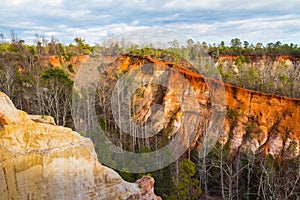 Canyons in Providence Canyon State Park, Georgia, USA