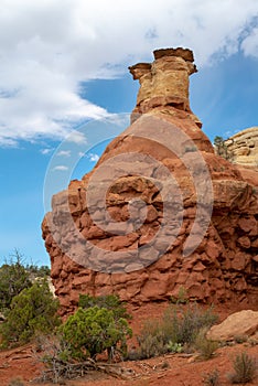 Canyons of ther Ancients Hoodoo