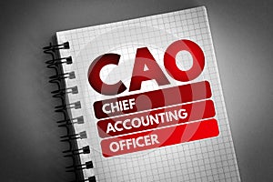 CAO - Chief Accounting Officer acronym