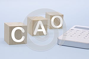 CAO - Chief Accounting Officer acronym on wooden cubes on a light background