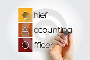 CAO Chief Accounting Officer - highest financial position in the business and manages things like budgets, forecasts, credit,