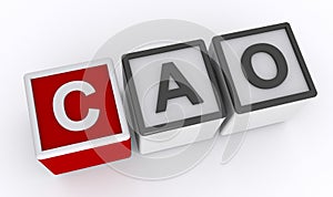 cao Chief Administrative Officer word block on white photo