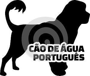 Cao de gua portugues silhouette real word photo