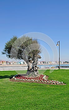 Caorle,adriatic sea,italy