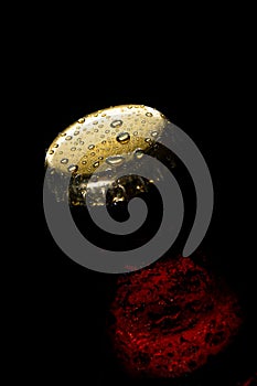 Cap of beer bottle closeup on a black background