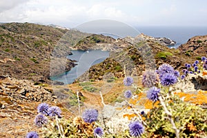 CAP de CREUS - Costa Brava - Spain