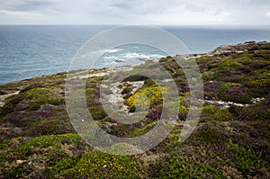 Cap de la Chevre in Brittany, Frrance