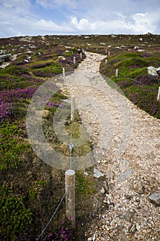 Cap de la Chevre. Touristic path.