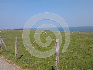 Cap Gris-Nez (France)