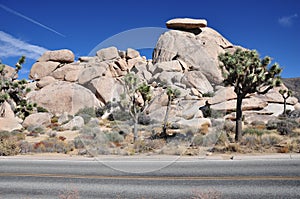 Cap Rock in Joshua Tree National Park