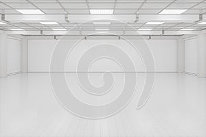 Capacious empty room, business background, 3d rendering