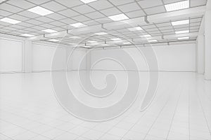 Capacious empty room, business background, 3d rendering