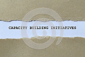 capacity building initiatives on white paper