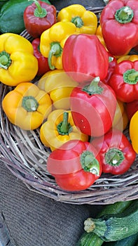 Capcicum in basket