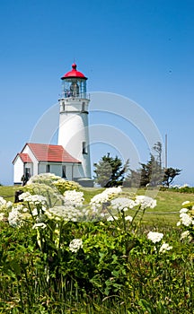 Cape Blanco Lighthouse with flowers photo
